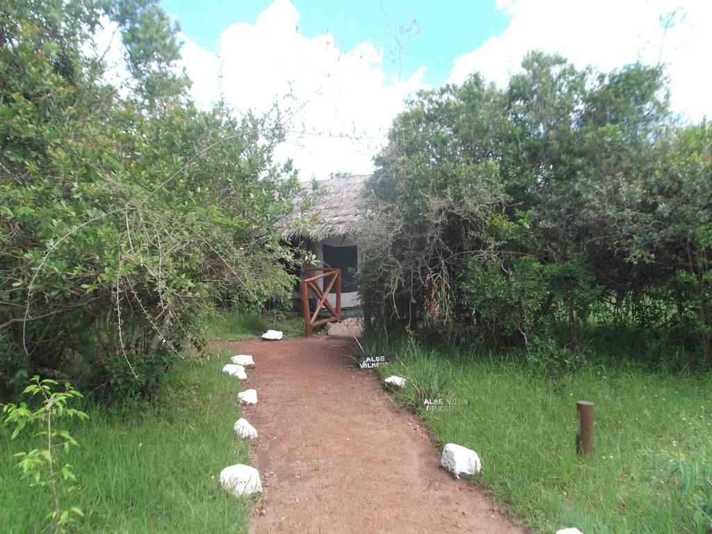 Crocodile Camp-Masai Mara Hotell Talek Exteriör bild
