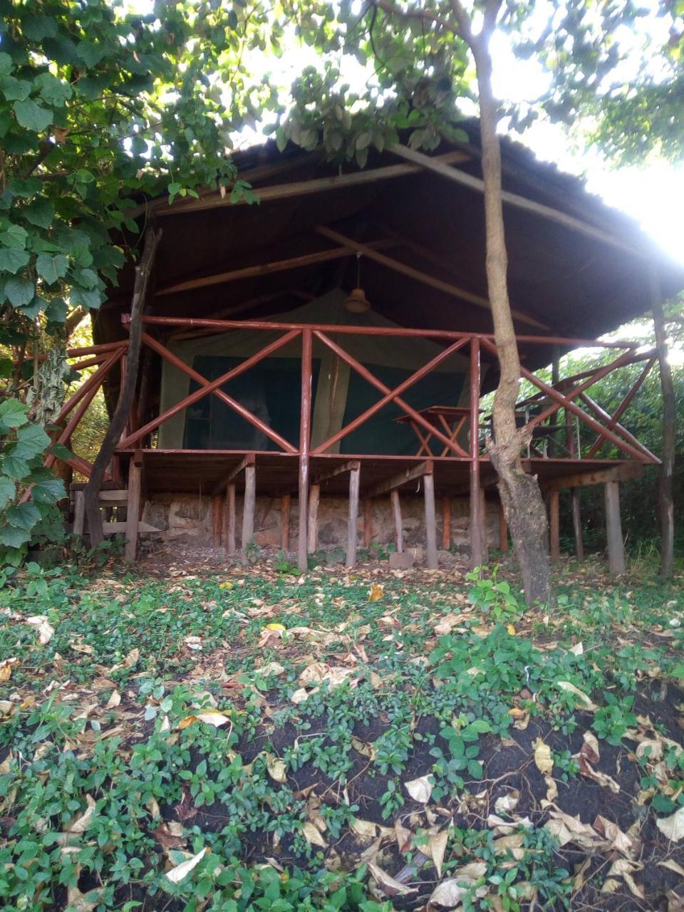 Crocodile Camp-Masai Mara Hotell Talek Exteriör bild